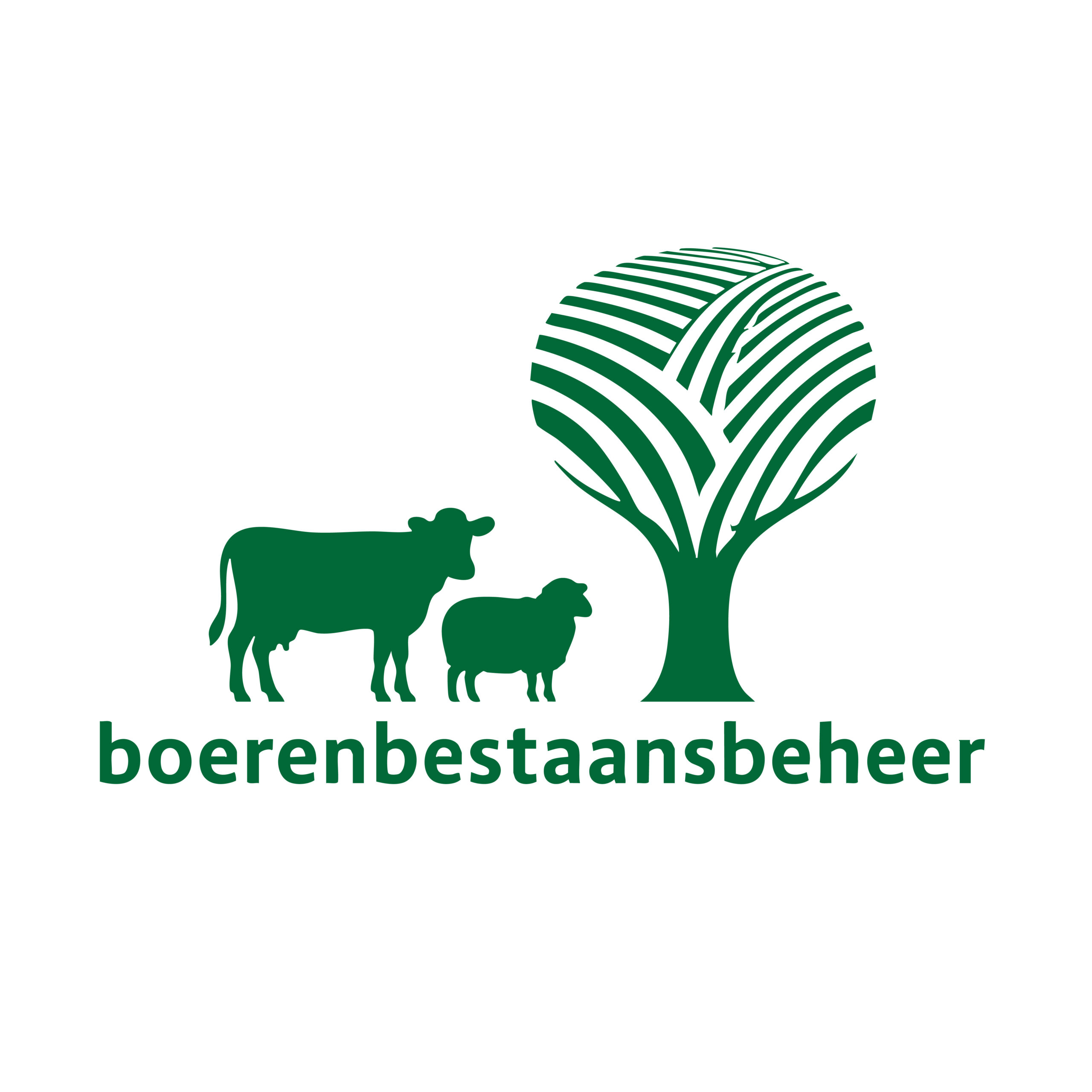 bbb-nieuwlogo_Tekengebied 1 kopie